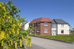 Neils View, Maiden Newton, Dorset